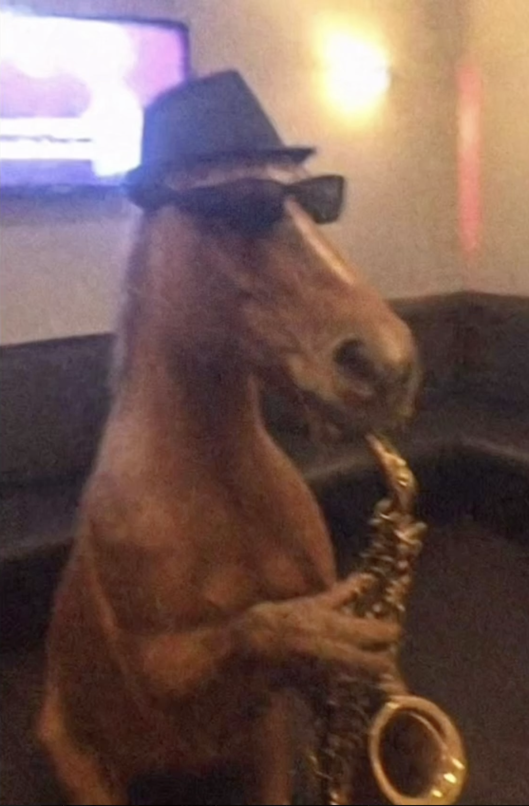 Картинка под заголовком